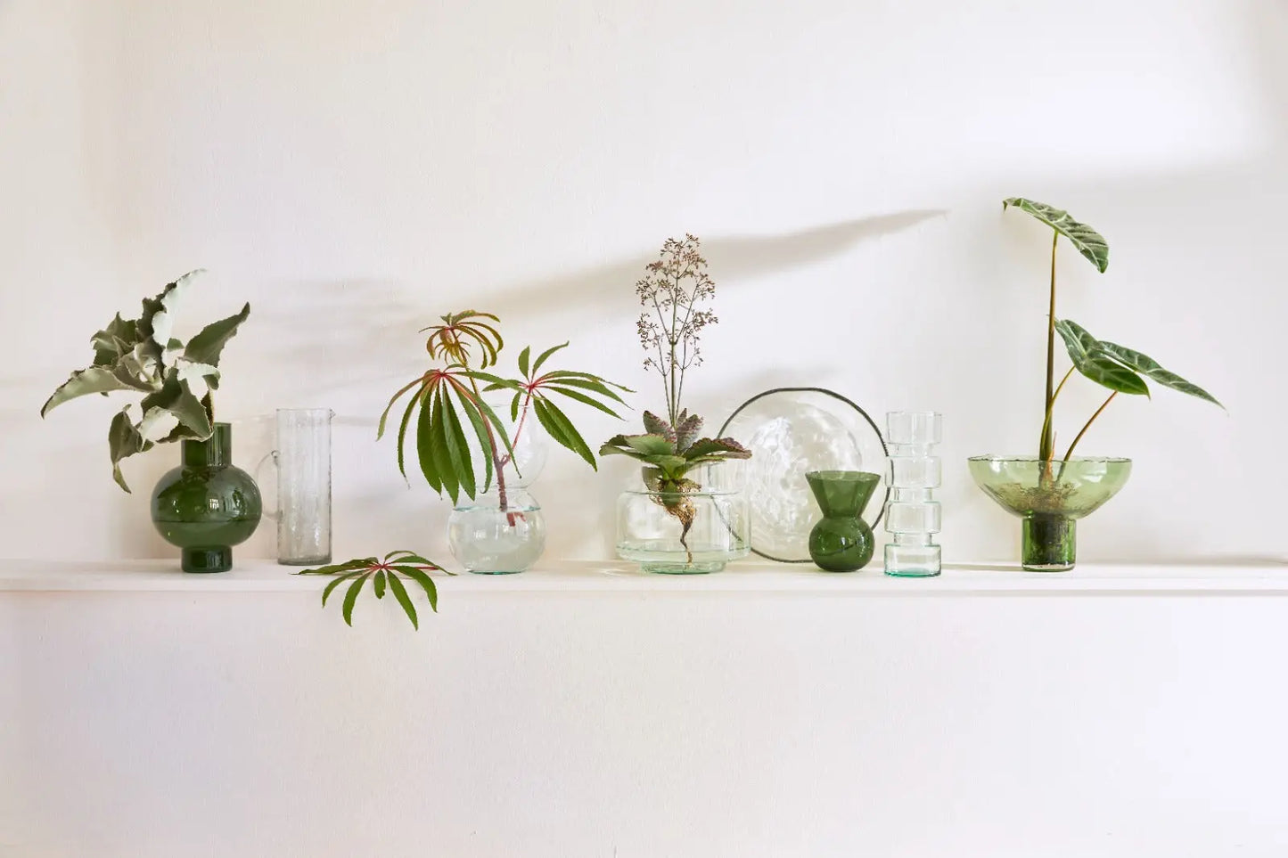 Vase Tummy A duck green Urban Nature Culture