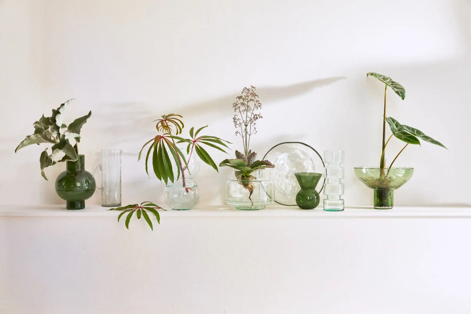 Vase Tummy A duck green Urban Nature Culture